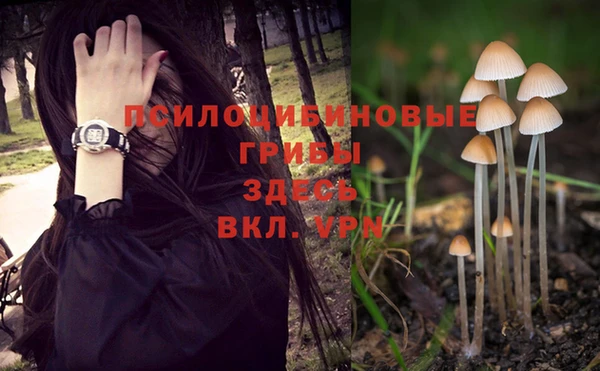 герыч Одинцово