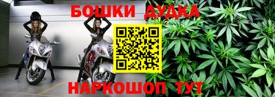 прущие крисы Будённовск