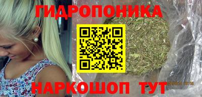 ALPHA PVP Аргун