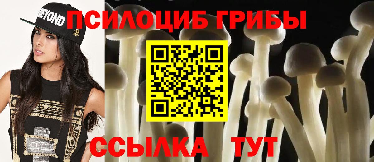 Галлюциногенные грибы Psilocybine cubensis  Псилоцибиновые грибы Magic Shrooms  Вход с VPN  Дубна 